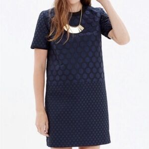 Madewell Mood Navy Polka Dot Dress
